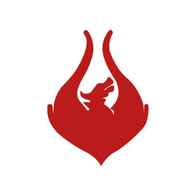 team phoenix logo